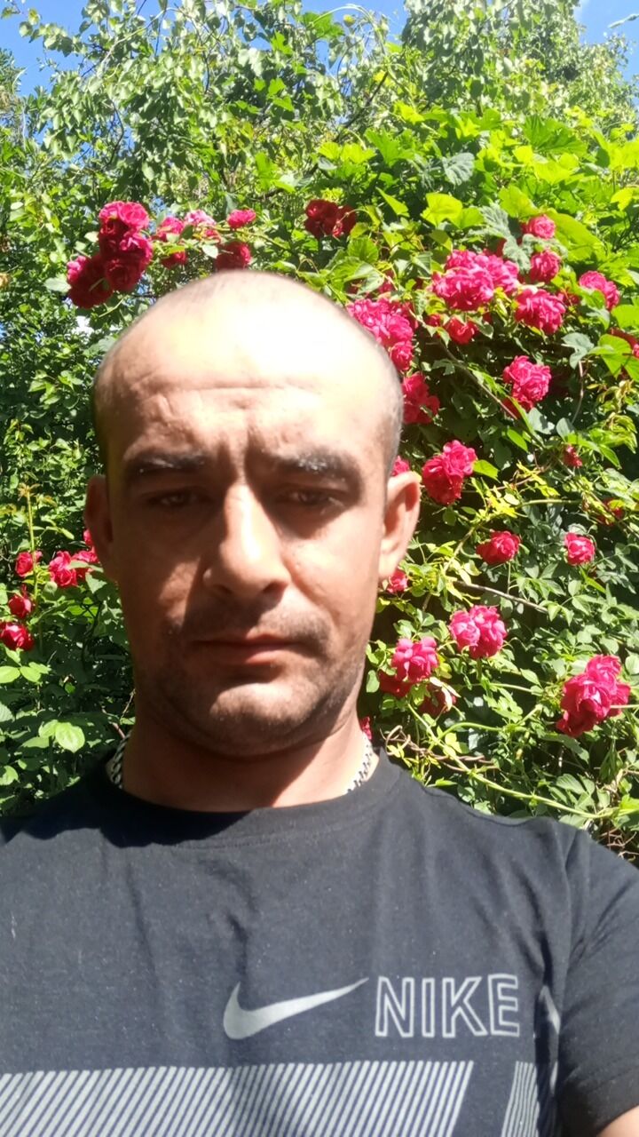  43986357  , 27 ,    