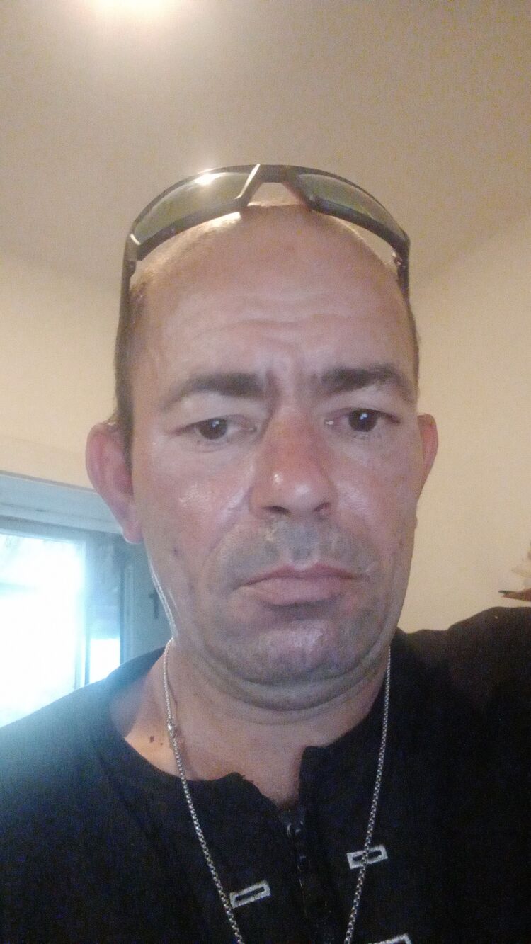  53241467  , 43 ,    Se