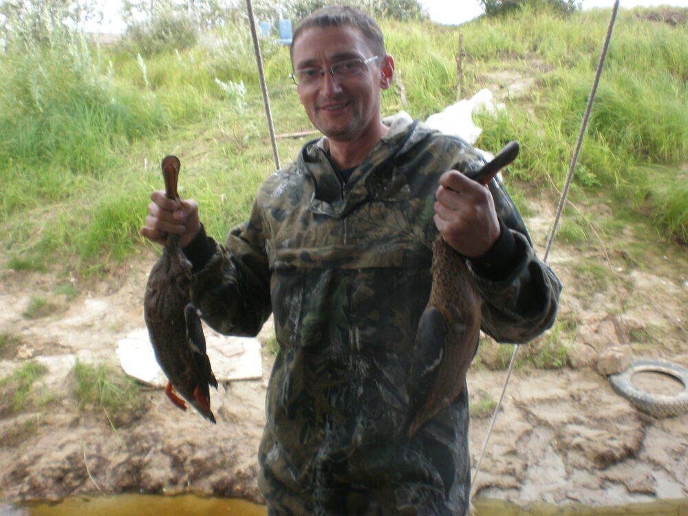  ,   , 54 ,   , 