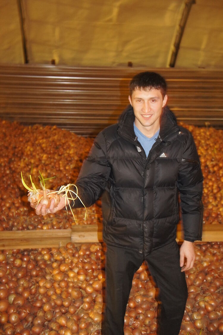 ���� 4614277 ������� ��������, 38 ���, ���� ���������� � �������