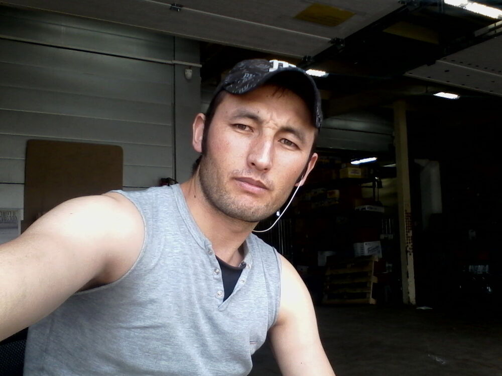 ���� 8295007 ������� ���, 36 ���, ���� ���������� � �����