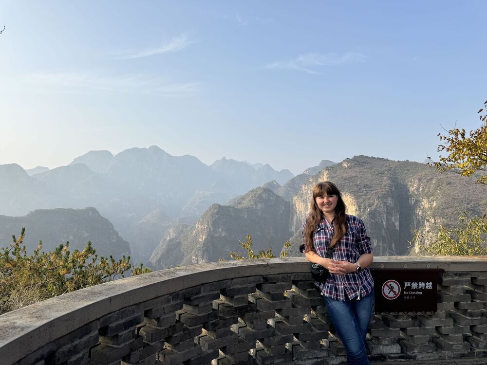  54612567  , 31 ,    --