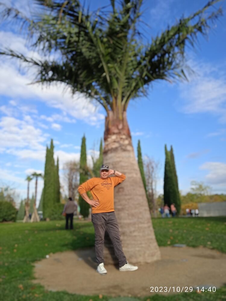 ���������� ���������, ���� ������� ����, 56 ���, ������������ ��� ������, ����� � ���������