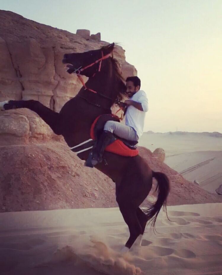 ���������� �����, ���� ������� Meshari, 30 ���, ������������ ��� ������, ����� � ���������