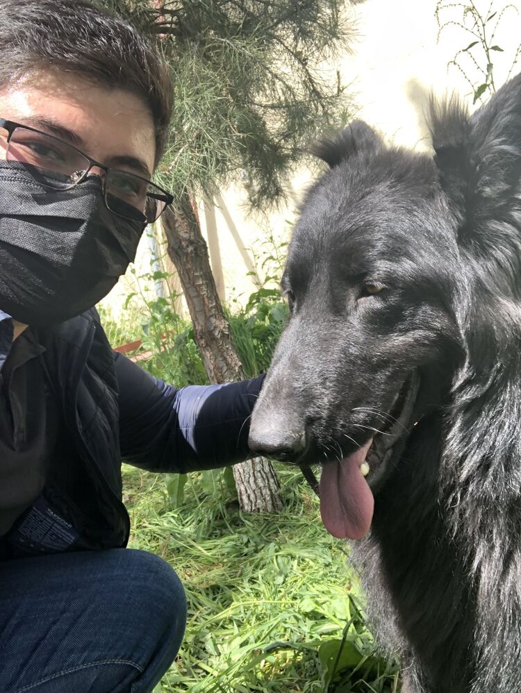 ���� 37286957 ������� �����, 27 ���, ���� ���������� � ��������