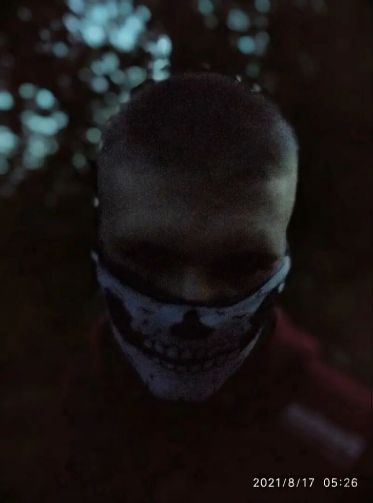 33265417  , 24 ,    -