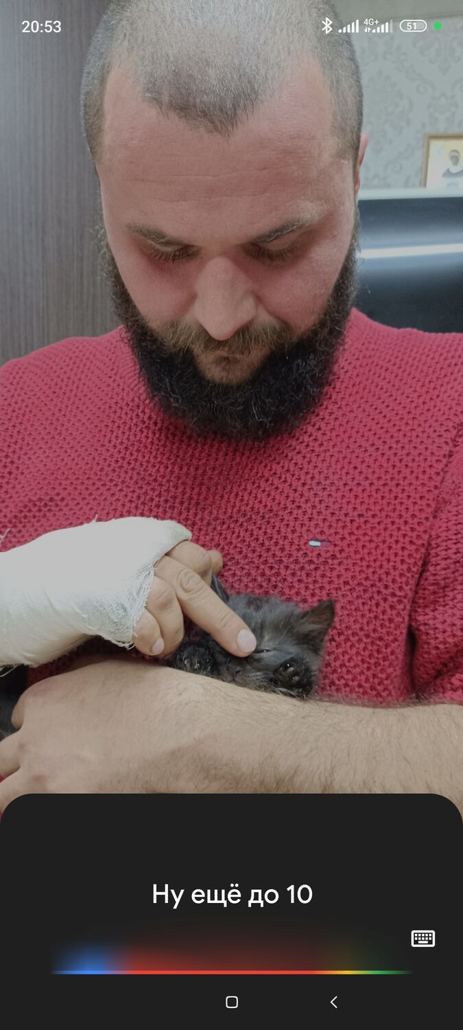 ���� 49806617 ������� Maxim, 37 ���, ���� ���������� � �������������