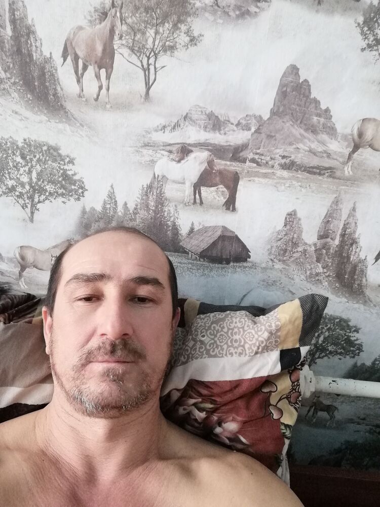 ���� 23049977 ������� �������, 47 ���, ���� ���������� � �������������