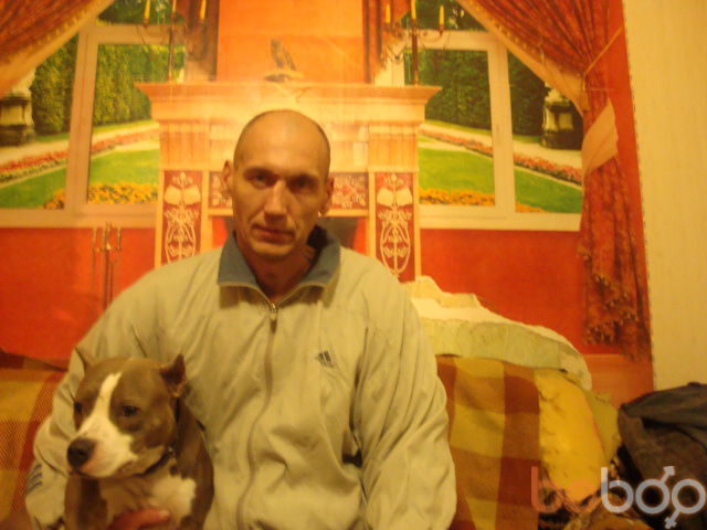  ,   , 54 ,   