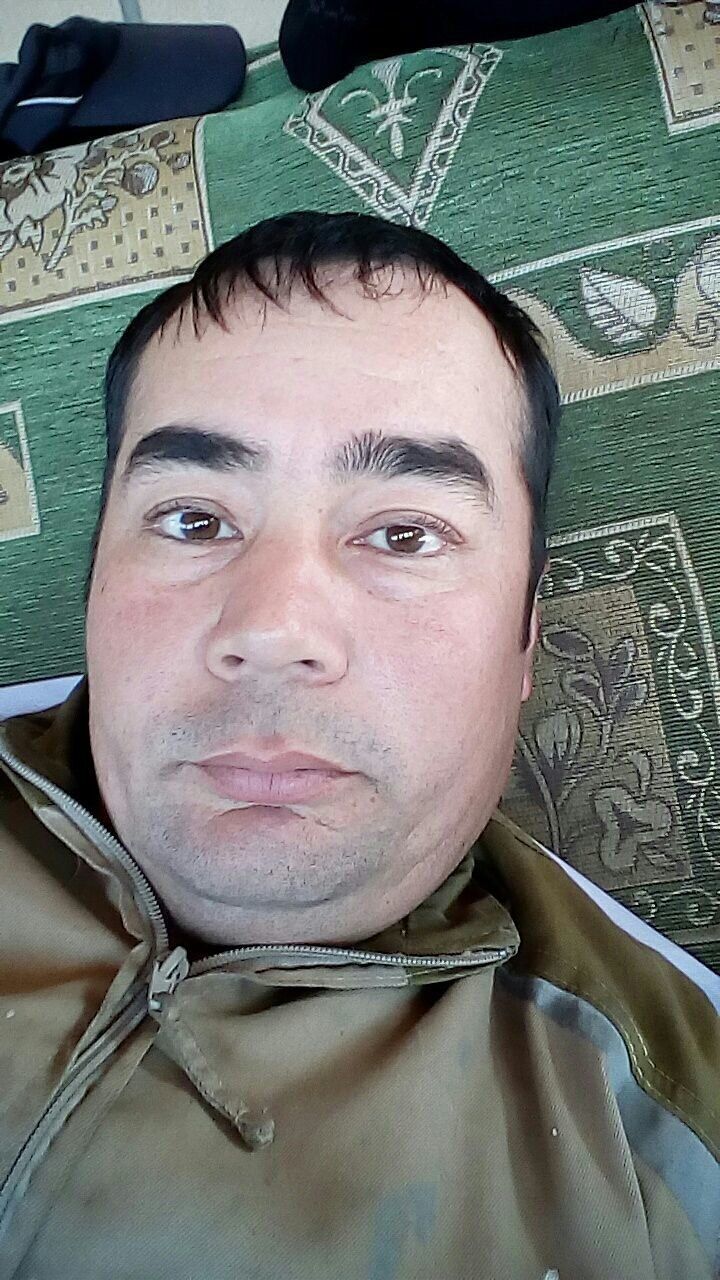  48450237  , 41 ,    