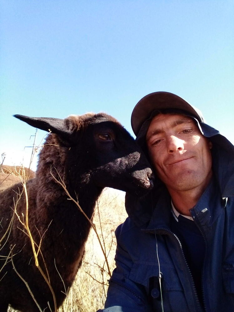 ���� 25233517 ������� ����, 39 ���, ���� ���������� � ����������