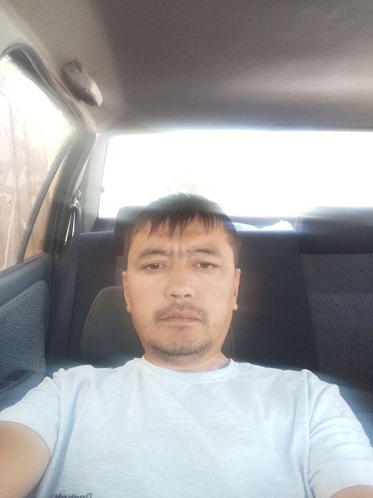  46035767  , 31 ,    