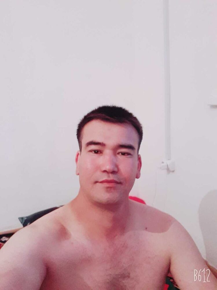 ���� 20384317 ������� ����, 40 ���, ���� ���������� � ������