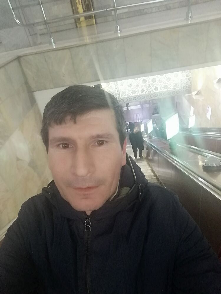  50341127  , 29 ,    