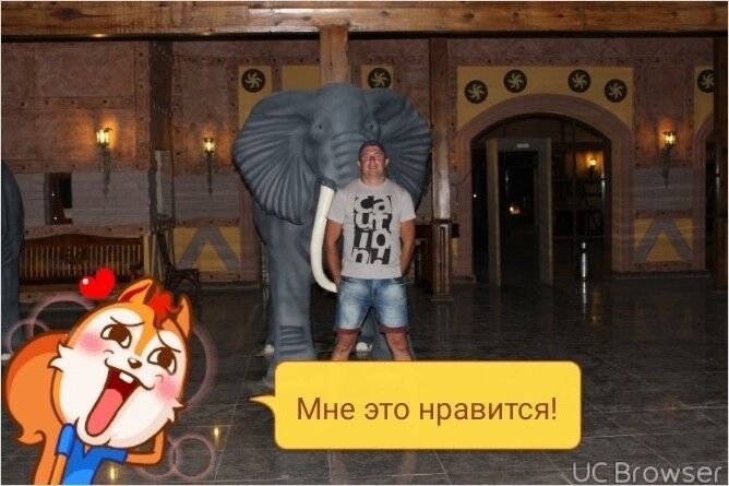 ���������� �������, ���� ������� �������, 42 ����, ������������ ��� ������, ����� � ���������, c�������� ���������