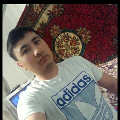 ���� 8934017 ������� �����, 33 ����, ���� ���������� � ������������