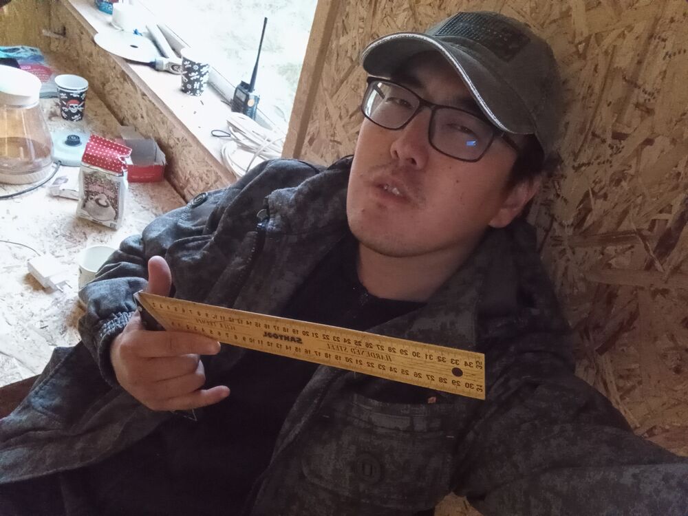 ���� 37819527 ������� Madet, 31 ���, ���� ���������� � �������