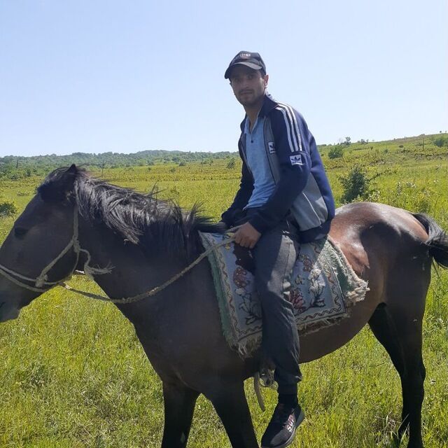 ���� 32535177 ������� ������, 29 ���, ���� ���������� � �����-����������