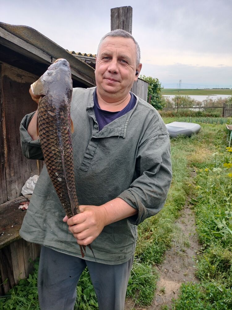  ,   , 56 ,   ,   