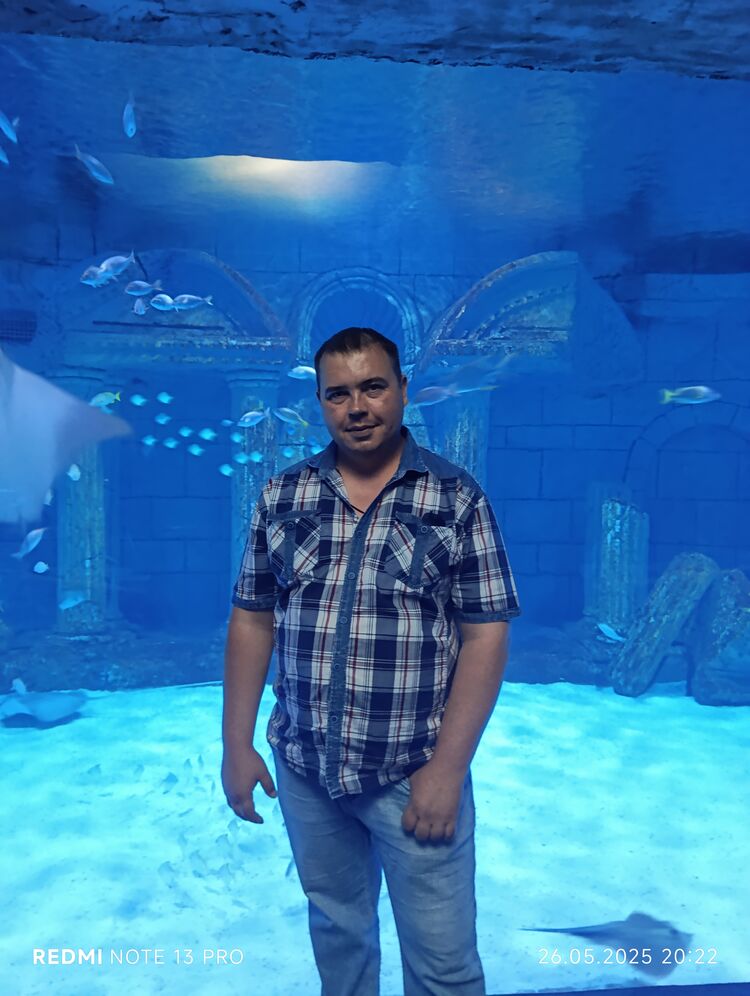 ���� 56237677 ������� ������, 36 ���, ���� ���������� � �������������