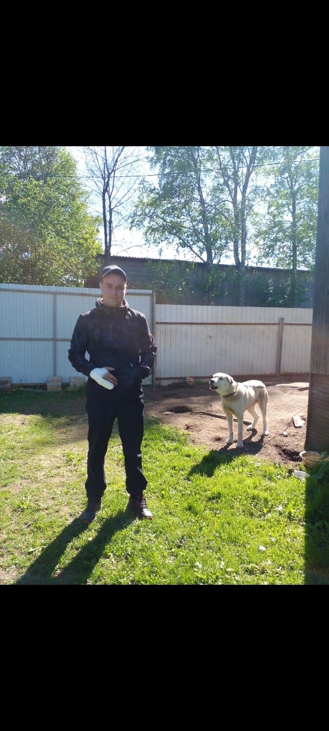 ���������� ���������, ���� ������� Alexander, 35 ���, ������������ ��� c�������� ���������