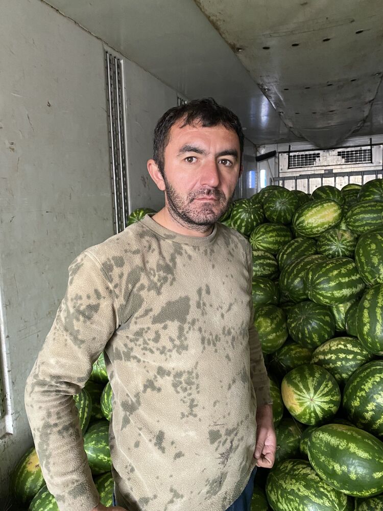 ���������� ��������, ���� ������� �����, 40 ���, ������������ ��� ������, ����� � ���������