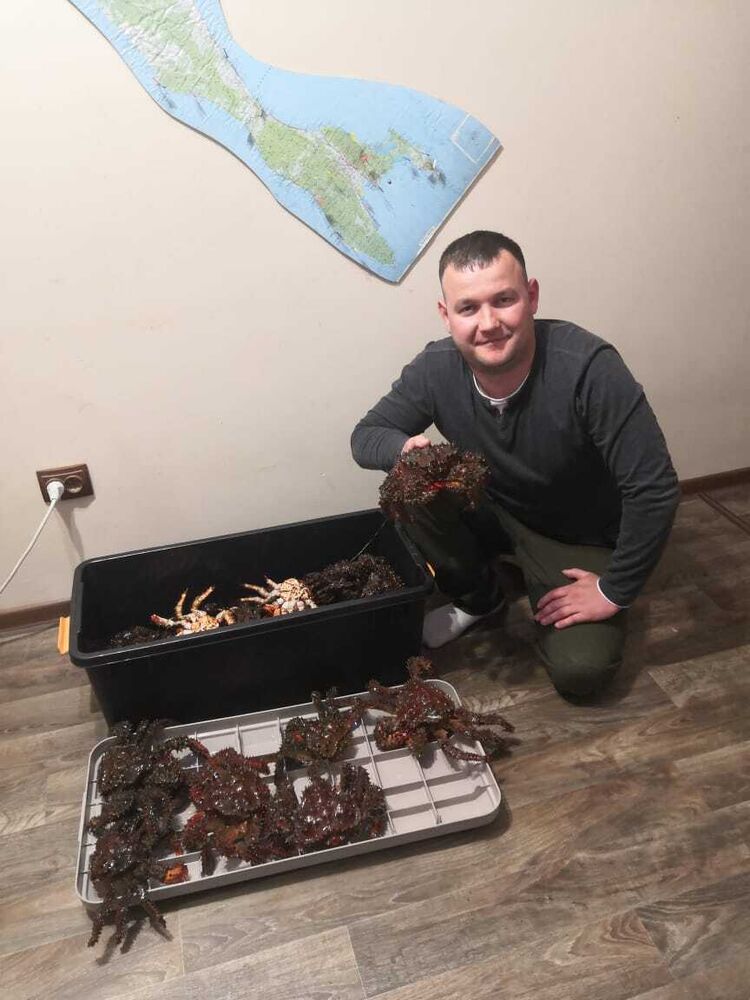 ���� 29293667 ������� ������, 37 ���, ���� ���������� � ����-����������