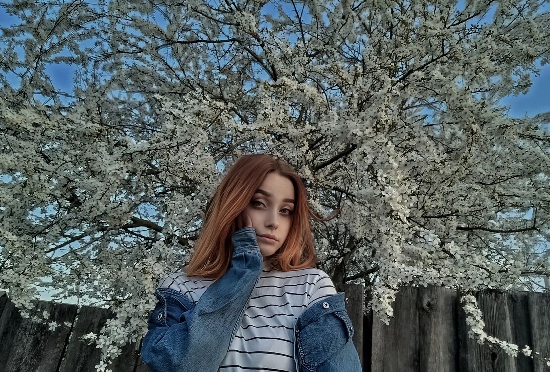 ���������� ������, ���� ������� �����, 23 ����, ������������ ��� ������, ����� � ���������