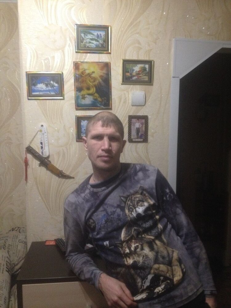  9413017  , 41 ,    