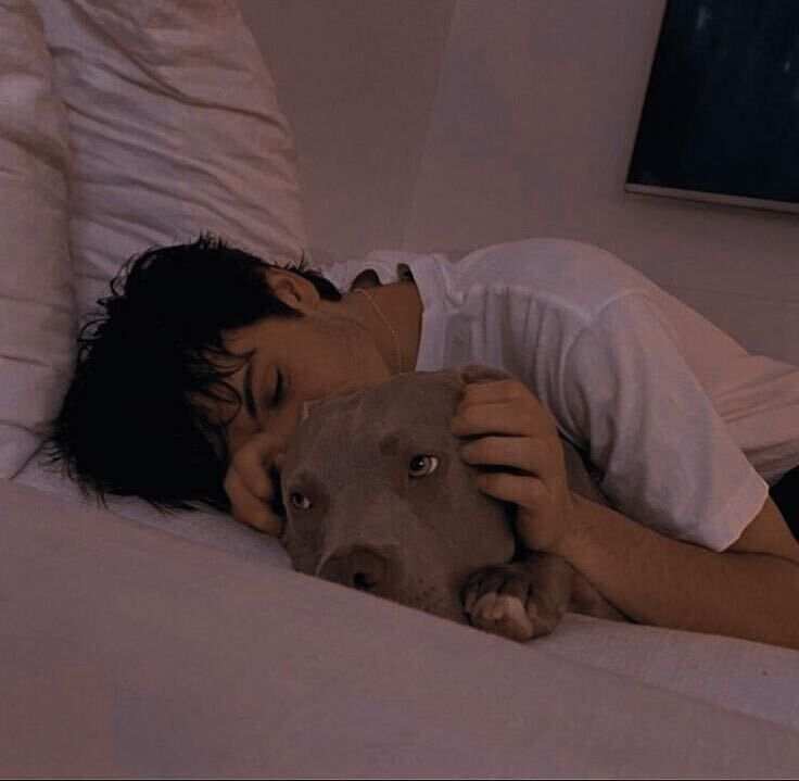 ���� 31920187 ����� ����, 24 ����, ���� ���������� � ��������