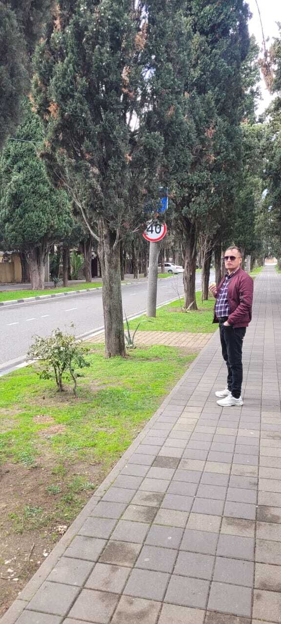 ���������� �����, ���� ������� ˸��, 36 ���, ������������ ��� ������, ����� � ���������