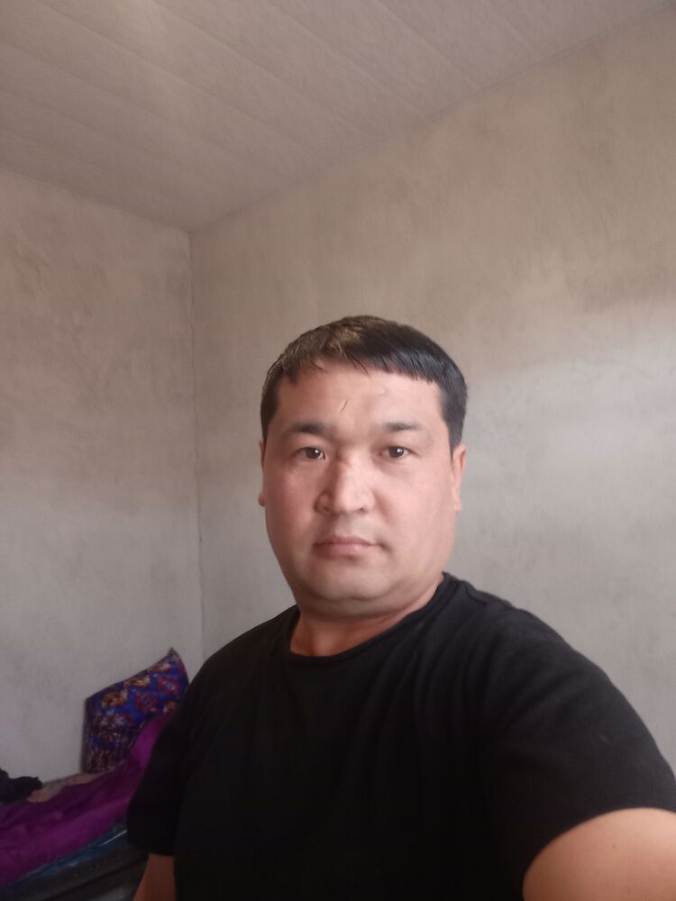  45381277  , 40 ,    