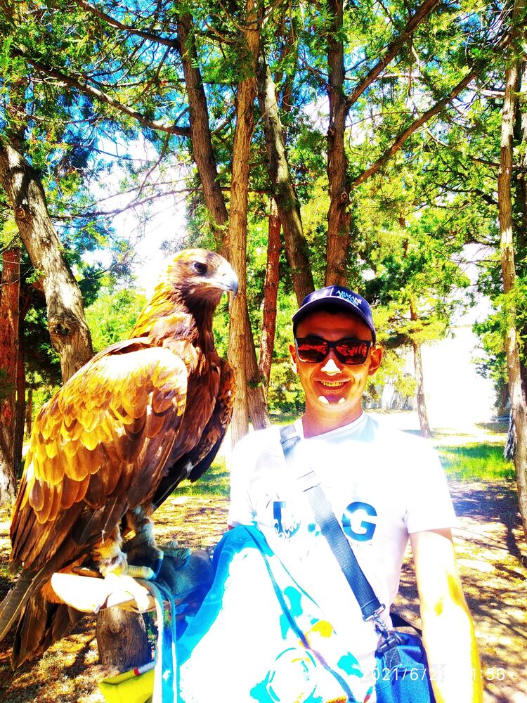 ���������� ������, ���� ������� �����, 38 ���, ������������ ��� ������, ����� � ���������