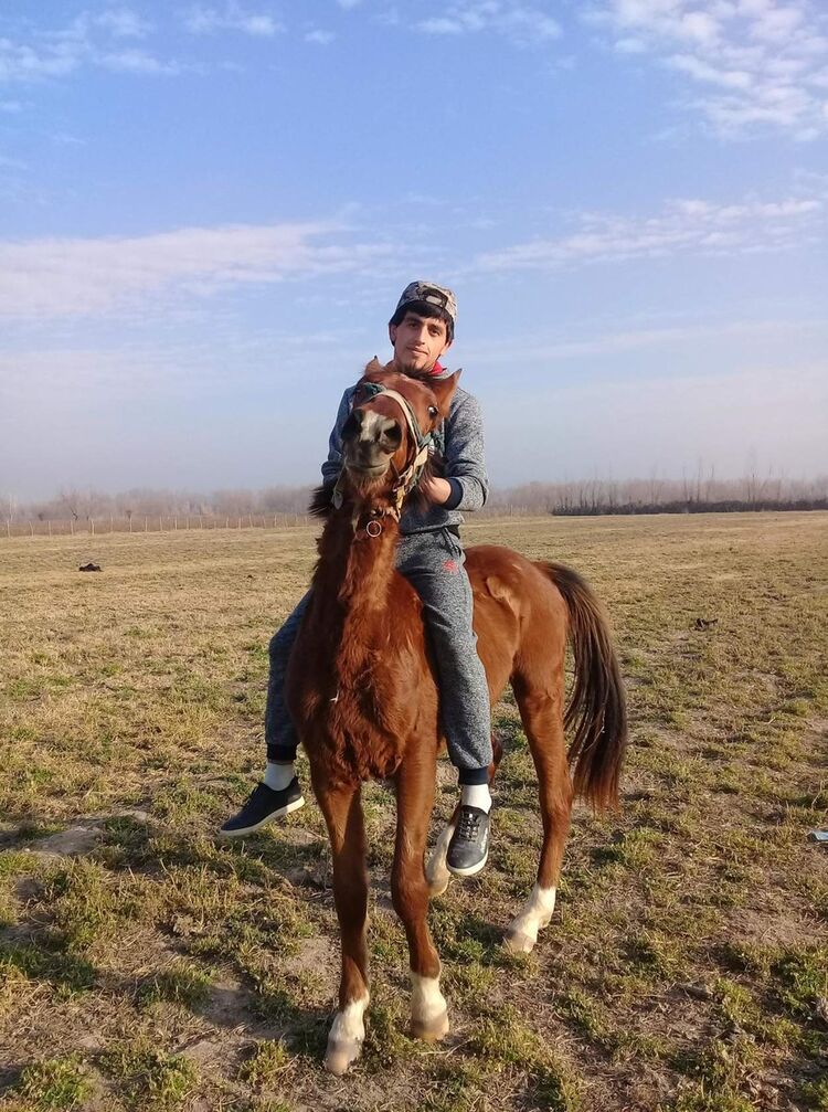  ,   KHABIB, 31 ,   ,   , c 