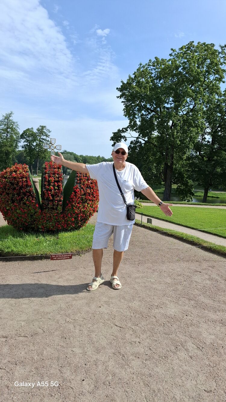  52977397  , 69 ,    -