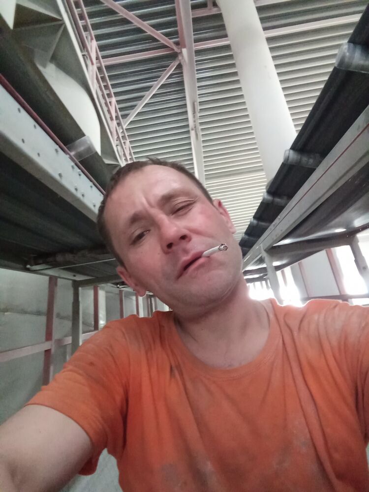  43355087  , 40 ,    