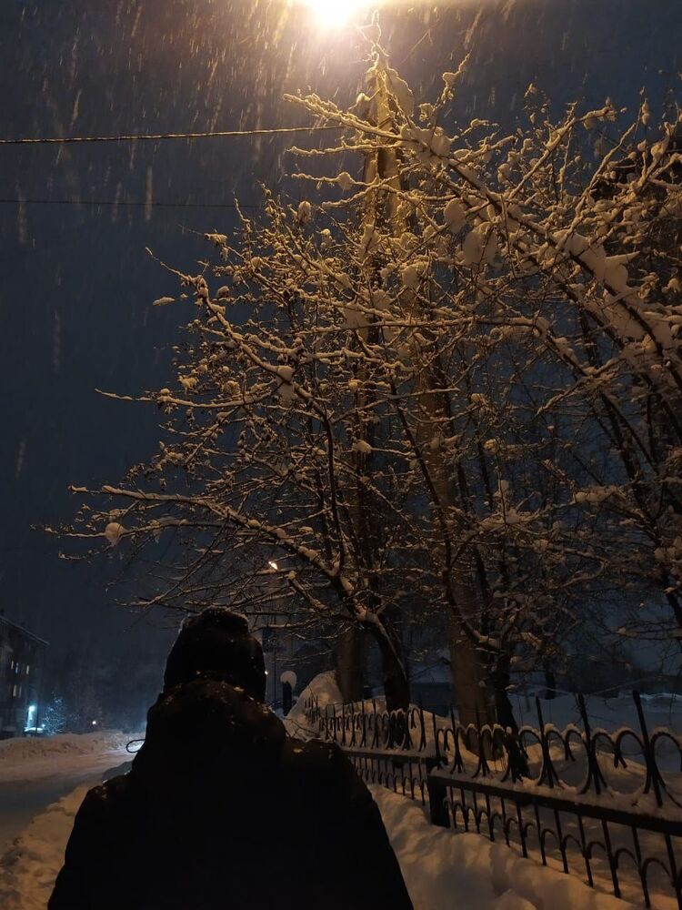 ���������� �����-�������, ���� ����� �������, 23 ����, ������������ ��� ���������