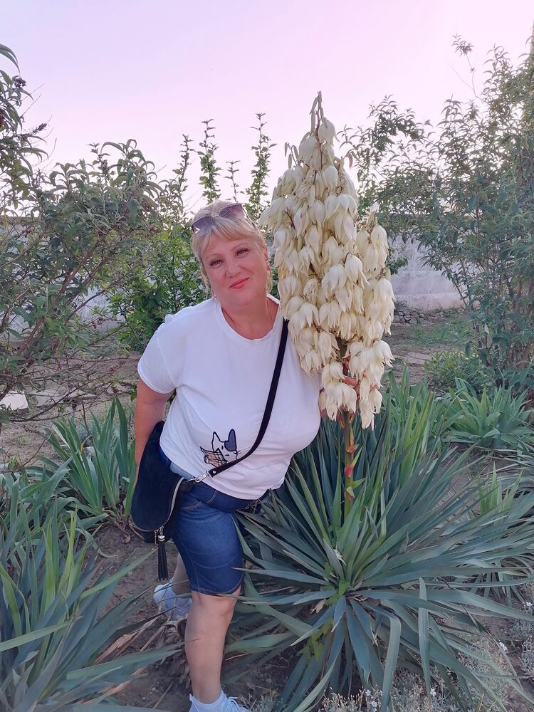 ���������� ������, ���� ������� ��������, 59 ���, ������������ ��� c�������� ���������