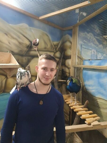 ���������� �����, ���� ������� �����, 29 ���, ������������ ��� ������, c�������� ���������