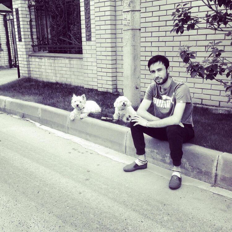  ,   Romiz, 34 ,   ,   , c , 