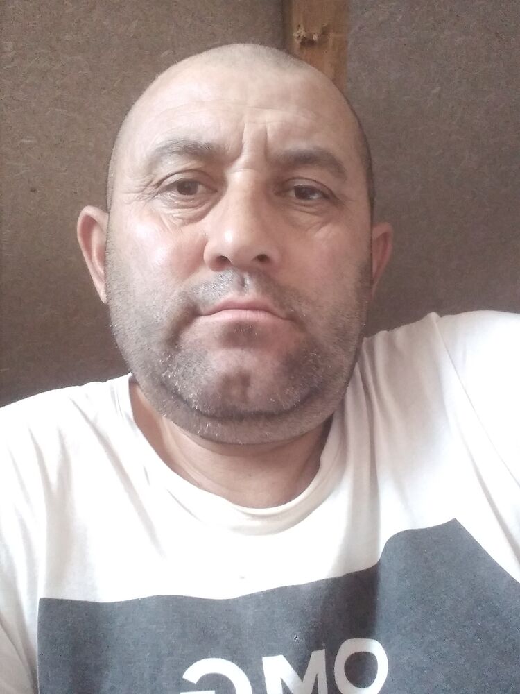  35133687  , 44 ,    