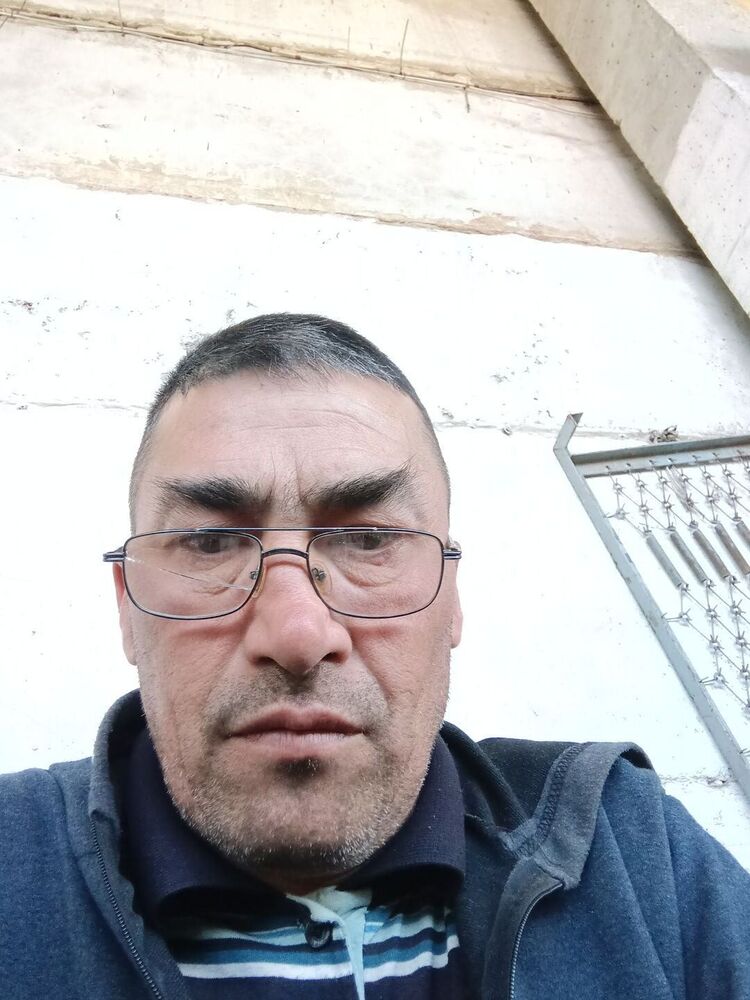 ���� 43381417 ������� Pet, 48 ���, ���� ���������� � ������