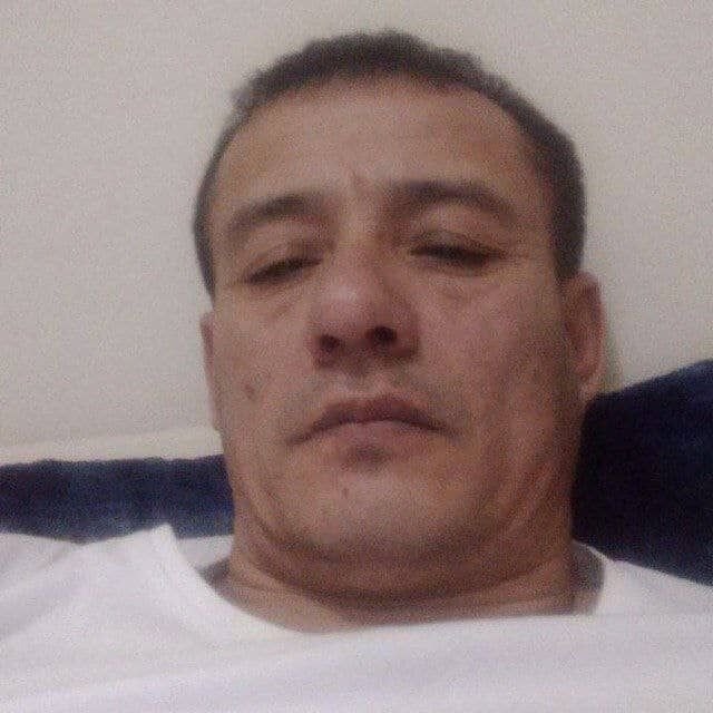  53654077  , 47 ,    -