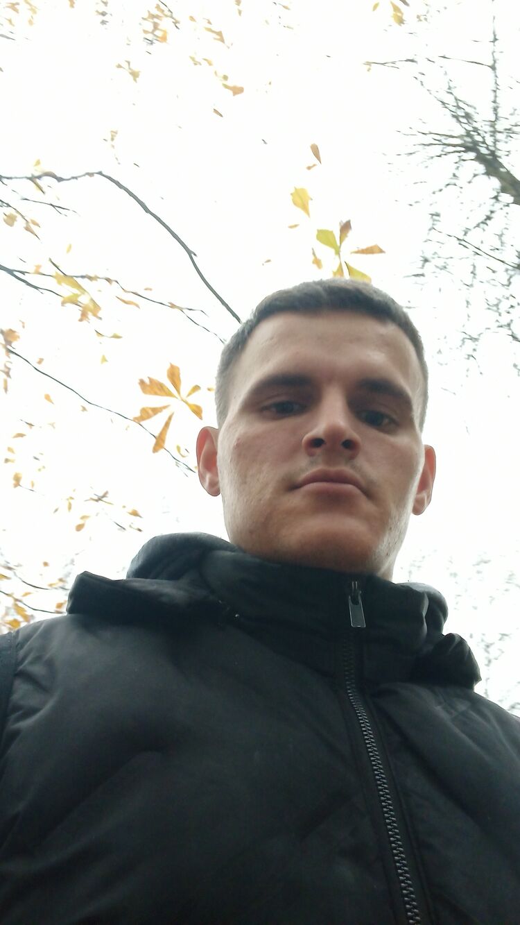  31806267  , 28 ,    