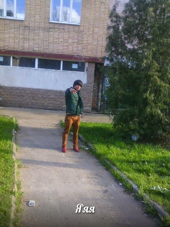 ���� 5100017 ������� ����, 33 ����, ���� ���������� � ������