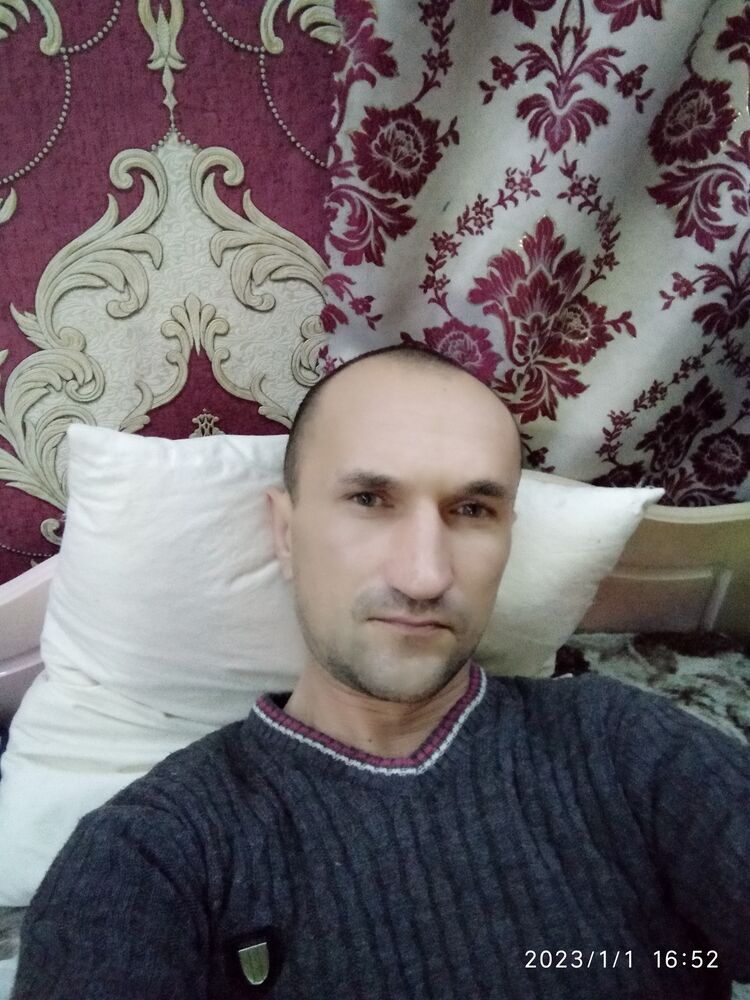  31826767  , 38 ,    -