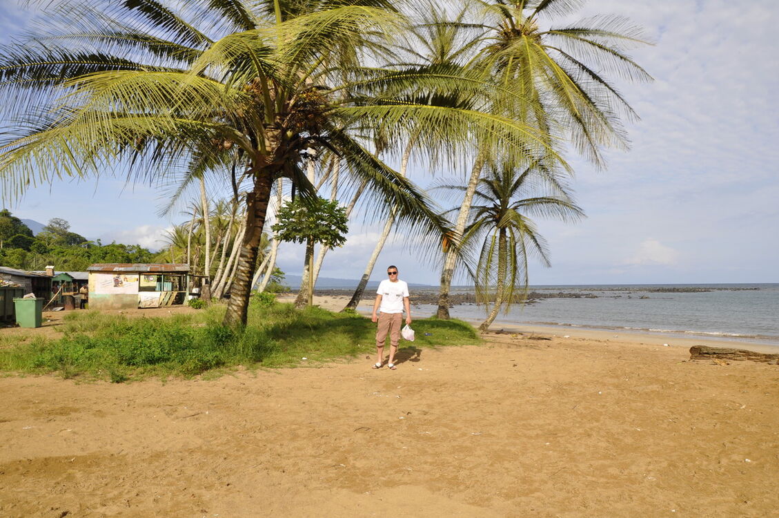  5515357  Andru, 36 ,    