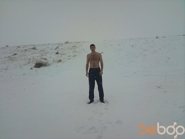 ���������� ������, ���� ������� ARMAN, 38 ���, ������������ ��� ������, ����� � ���������, c�������� ���������