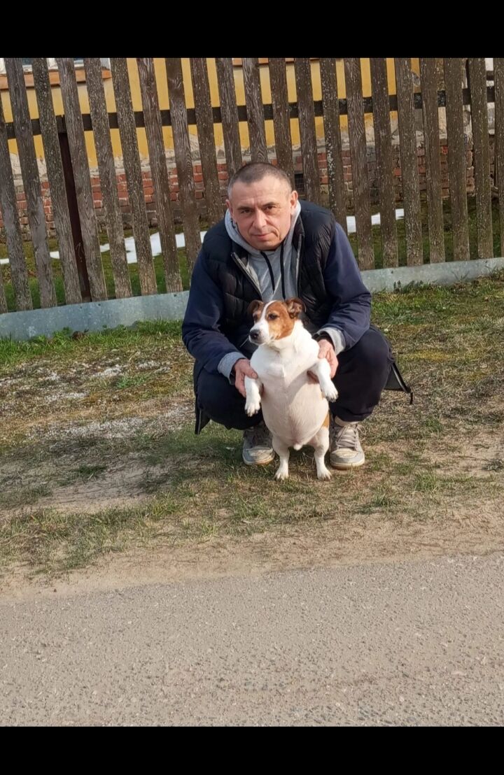 ���������� ������������, ���� ������� �����, 55 ���, ������������ ��� ������, ����� � ���������, c�������� ���������