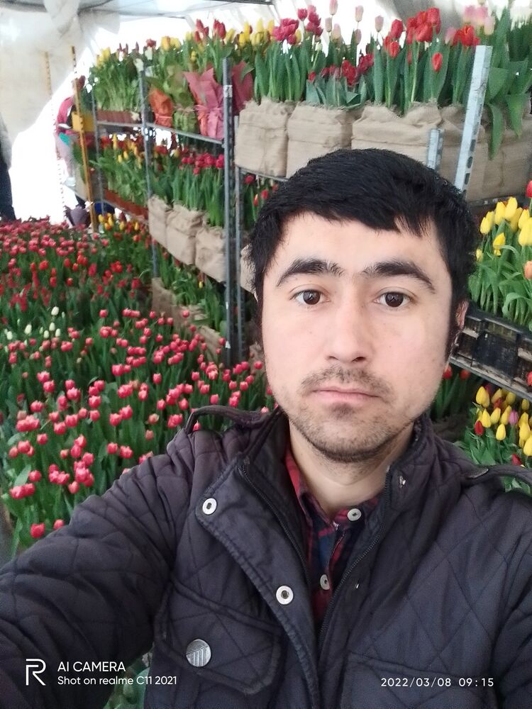 ���� 25999637 ������� ������, 36 ���, ���� ���������� � �����-����������